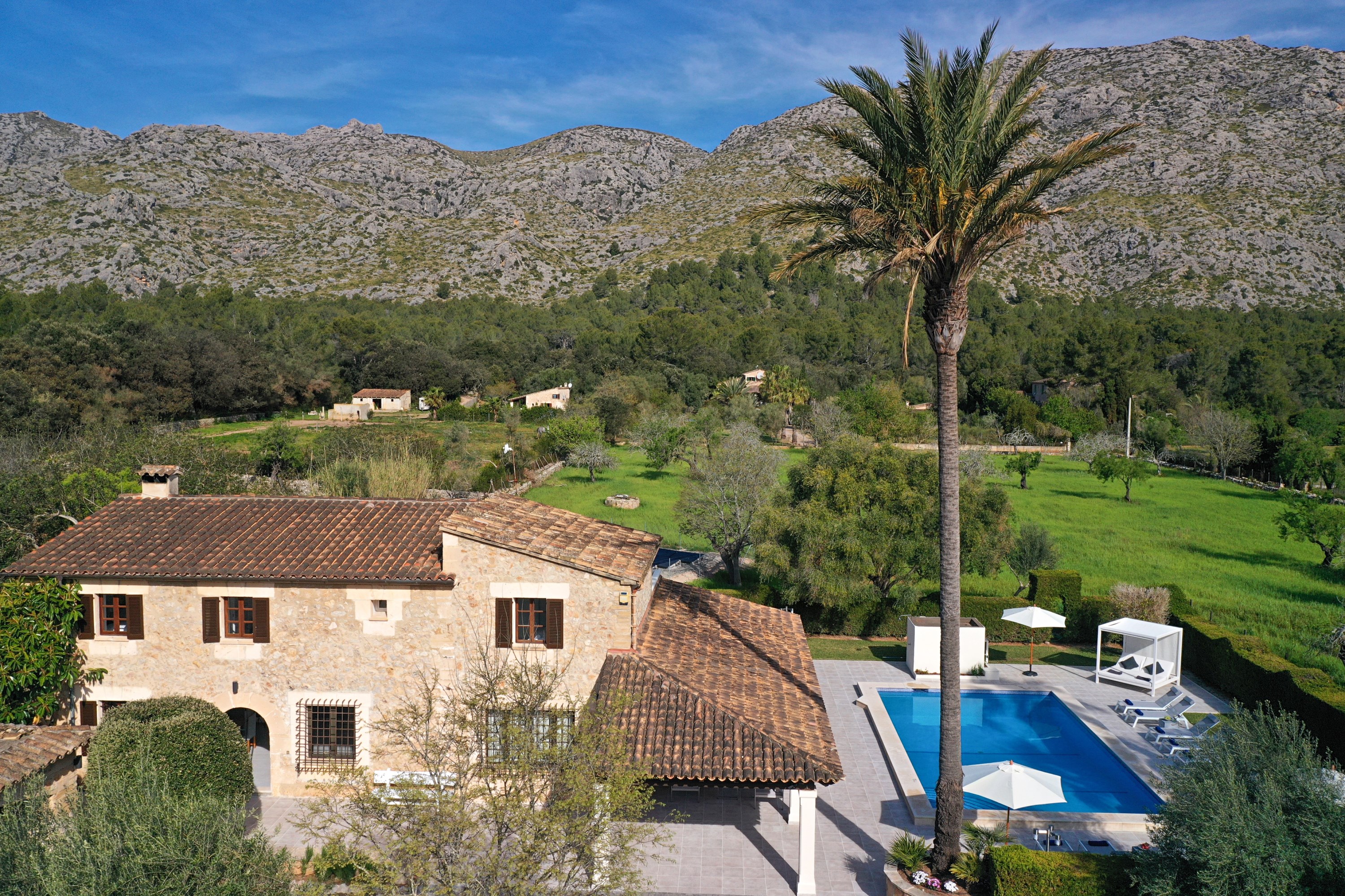 The Estate