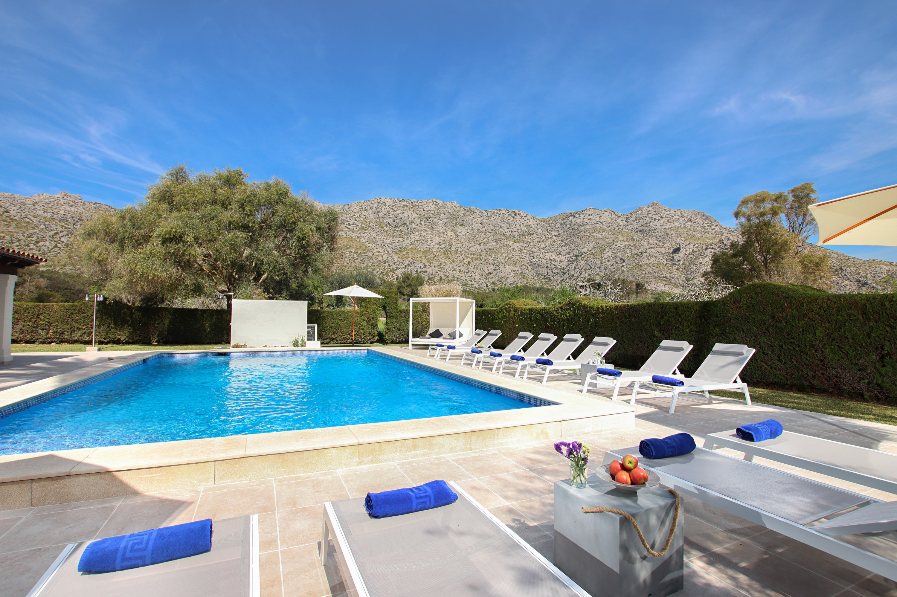 Pool & Gardens